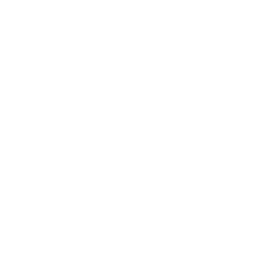 Pizza Oven