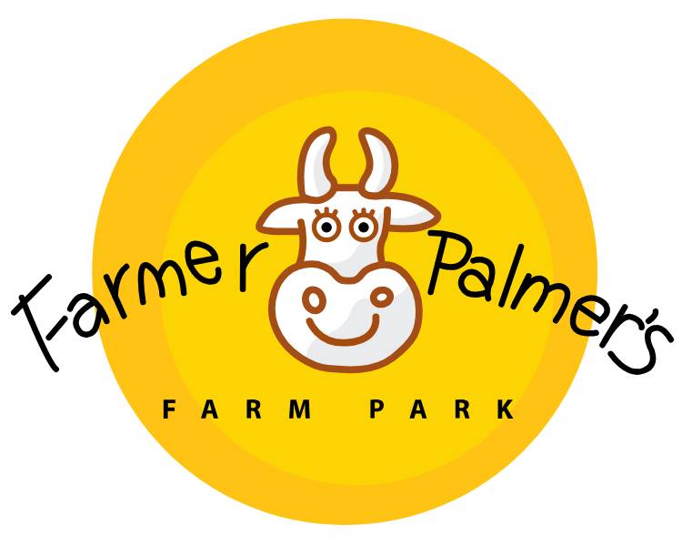Falmers Palmers